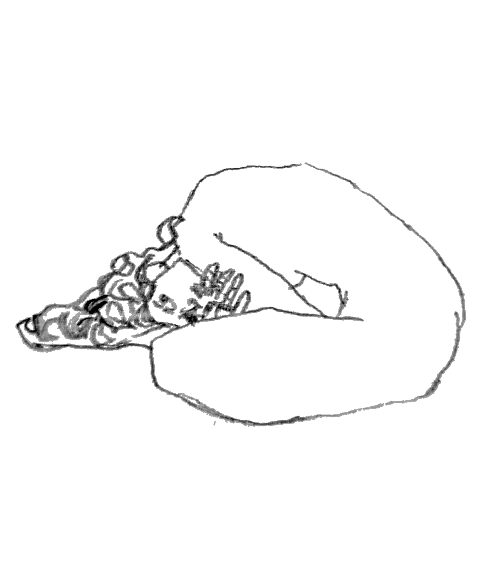 Sketch book artwork 09